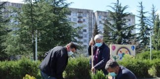 დაბა კაზრეთში მდებარე პარკში 10 სახეობის ხე-მცენარე დაირგო