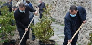 გოგი მეშველიანმა გამწვანების აქციაში მიიღო მონაწილეობა