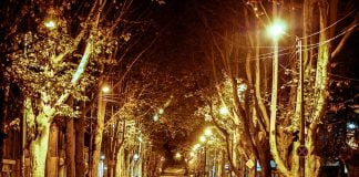 ღამის საათებში გაადადგილებაზე შეზღუდვა უქმდება