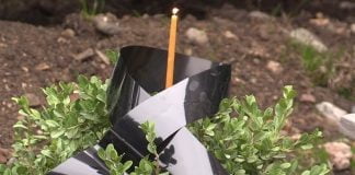 საქართველოში გლოვის დღეა