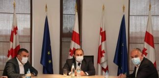 ქვემო ქართლის რეგიონს ახალი სახელმწიფო რწმუნებული ჰყავს