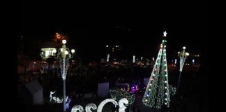 ბოლნისის მთავარი ნაძვის ხე გრანდიოზული ღონისძიებით აინთო