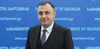 გოგი მეშველიანი საფინანსო-საბიუჯეტო კომიტეტის თავმჯდომარის მოადგილედ აირჩიეს