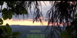 „ეს მართლაც სისხლის ყივილია“ – ქართველი ემიგრანტის ფილმად აკინძული სურვილი და რეალობა