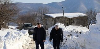 გოგი მეშველიანი თეთრიწყაროს მუნიციპალიტეტში დიდთოვლობისგან წარმოქმნილ პრობლემებს პირადად გაეცნო