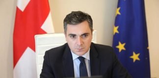 ბოლნისის საპატიო მოქალაქე ილია დარჩიაშვილი საგარეო საქმეთა მინისტრად დაინიშნა