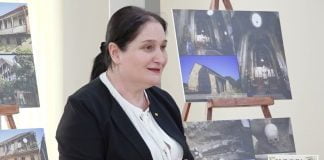 Bolnisi Mədəniyyət Mərkəzi gənclər üçün məlumat seminarı keçirib