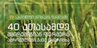 სახელმწიფო პროგრამის ფარგლებში, აგროქულები 40 ათასამდე ფერმერს უკვე დაერიცხა
