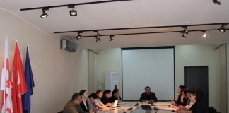 გენდერული თანასწორობის საბჭომ 2022-2023 წლების სამოქმედო გეგმა განიხილა