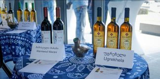,,ბოლნისი – ოქროსფერი ღვინის ქალაქი’’