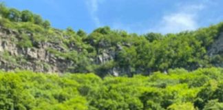 ლიზი გაბიძაშვილმა ამერიკული უნივერსიტეტის მიერ გამოცხადებულ კონკურსში მიიღო მონაწილეობა