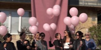 „ვარდისფერი ოქტომბერი“ – მორიგი აქტივობა ბოლნისში