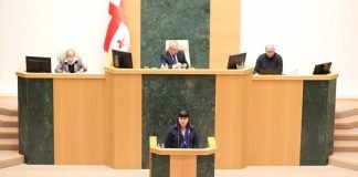 პარლამენტმა მედიკამენტებზე ზღვრული ფასების დაწესებას პირველი მოსმენით დაუჭირა მხარი