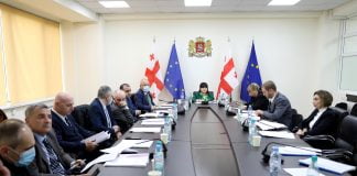 ჯანდაცვის სამინისტროში პროფესიული განვითარების საბჭოს მორიგი სხდომა გაიმართა