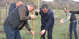 სამდღიანი გამწვანების აქცია ,,მომავლის ბაღში’’