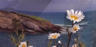 აბრეშუმისა და ატლასის ლენტებით გაცოცხლებული სამყარო