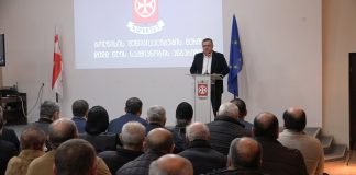 ბოლნისის მუნიციპალიტეტის მერმა 2022 წლის ანგარიში წარადგინა