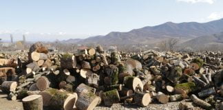 ბოლნისის მუნიციპალიტეტში „საქმიანი ეზო“ მოეწყო.