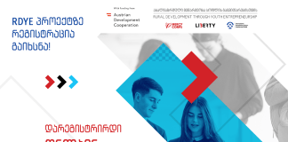 RDYE პროექტზე რეგისტრაცია გრძელდება