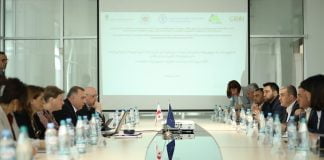 გიორგი დოხტურიშვილის ხელმძღვანელობით გარემოს დაცვისა და სოფლის მეურნეობის სამინისტროს წარმომადგენლებსა და მუნიციპალიტეტის მერებთან სამუშაო შეხვედრა გაიმართა