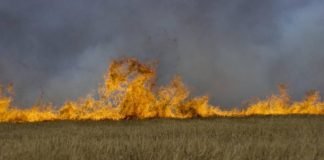 Kənd təsərrüfatı sahələrinin yandırılmasına görə yeni inzibati cərimə qanunu