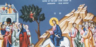 მართლმადიდებელი ეკლესია ბზობის დღესასწაულს აღნიშნავს