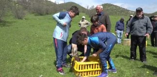 ბოლნისის მუნიციპალიტეტში კოლხური ხოხობი და კაკაბი გაუშვეს