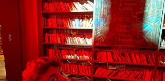 ლუკა გელიაშვილის გამარჯვება პრესტიჟულ პროგრამაში და გზა ევროპისკენ