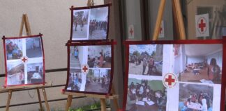 წითელი ჯვრისა და წითელი ნახევარმთვარის მსოფლიო დღეს ბოლნისის ფილიალი შეუერთდა