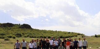 Bolnisidə təmizlik aksiyası təşkil olunub