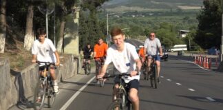 ბოლნისში მდგრადი ენერგეტიკის დღე აღინიშნა