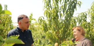 გოგი მეშველიანი: „გავიცანი ძალიან საინტერესო ქალბატონი, მცირე მეწარმე ინგა ბერუაშვილი, რომელიც სახელმწიფო პროგრამის „დანერგე მომავალის“მონაწილეა