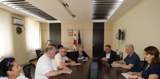 ბოლნისის მუნიციპალიტეტის მერმა გერმანიის ფედერაციული რესპუბლიკის ელჩის მოადგილესთან სამუშაო შეხვედრა გამართა