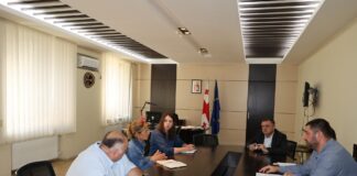 ბოლნისის მუნიციპალიტეტის მერი დავით შერაზადიშვილი შვედური ორგანიზაციის SALAR International-ის წარმომადგენელს შეხვდა