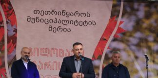 გოგი მეშველიანი თეთრიწყაროს მუნიციპალიტეტში სახალხო დღესასწაულს „გარისობა 2023“ დაესწრო