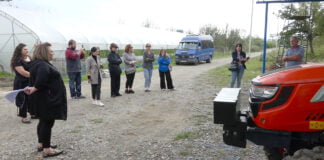 მედიატური მარნეულის მუნიციპალიტეტში