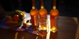 Bolnisidə “Şərab Festivalı 2023” keçirilib