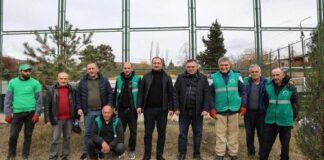 Bolnis şəhərinə bu il 1300 ting əlavə edilib