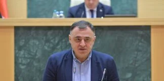 გოგი მეშველიანი ბიძინა ივანიშვილის პოლიტიკაში დაბრუნებას ეხმიანება