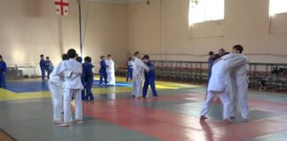 ძიუდოს ფედერაციის ახალი პროექტი