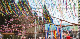 მარნეულის მუნიციპალიტეტში ნოვრუზ ბაირამისადმი მიძღვნილი ღონისძიება გაიმართა