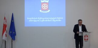 ბოლნისის მუნიციპალიტეტის მერმა 2023 წლის ანგარიში წარადგინა