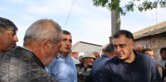 გოგი მეშველიანი ბოლნისის მუნიციპალიტეტის სოფელ ჭაპალაში მოსახლეობას შეხვდა