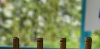 Yeni Şərab Festivalı ənənəvi olaraq Mtatsminda Parkı tərəfindən keçirilirdi