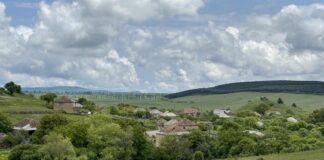 დეგრადირებული საძოვრების აღდგენის ღონისძიებები დმანისში-რა შედეგი აქვს პროექტს საძოვრების მდგრადი მართვის მიმართულები