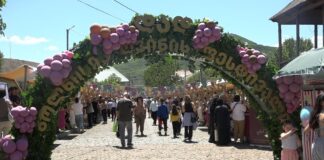 Bolnisidə yerli adla istehsal olunmuş Şərab Festivalı