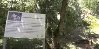 ხულუტის ციხე-დარბაზის გაწმენდა-დასუთავების სამუშაოები ჩატარდა