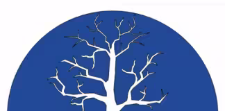 „თქვენთვის და თქვენთან ერთად“ – ფონდმა „მონაგარი“ საქმიანობის ანგარიში წარადგინა