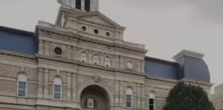 „ნაბიჯ-ნაბიჯ ოცნებისკენ: FLEX-ის გზაზე ნასწავლი გაკვეთილები”