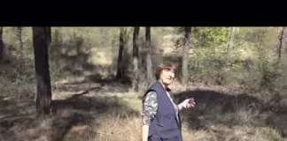 10 ოქტომბერი-მეტყევის დღე